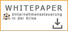 Whitepaper Unternehmenssteuerung in der Krise